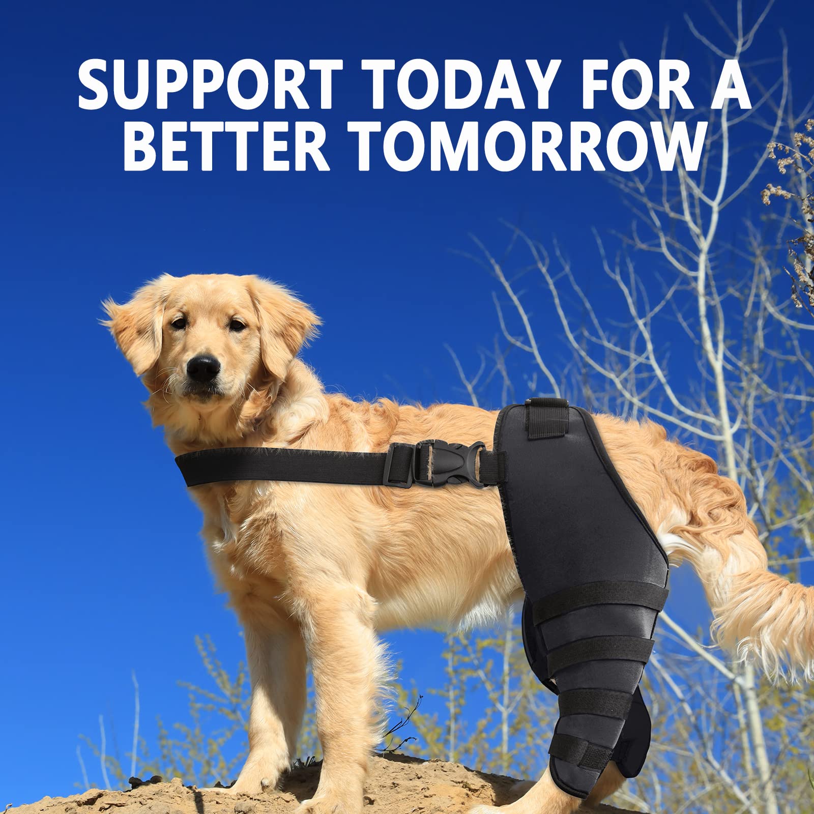 MewMewLand Dog Knee Braces for Pain CCL, ACL, Arthritis, Extra Support, Dog ACL Brace Hind Legs, Black X-Small