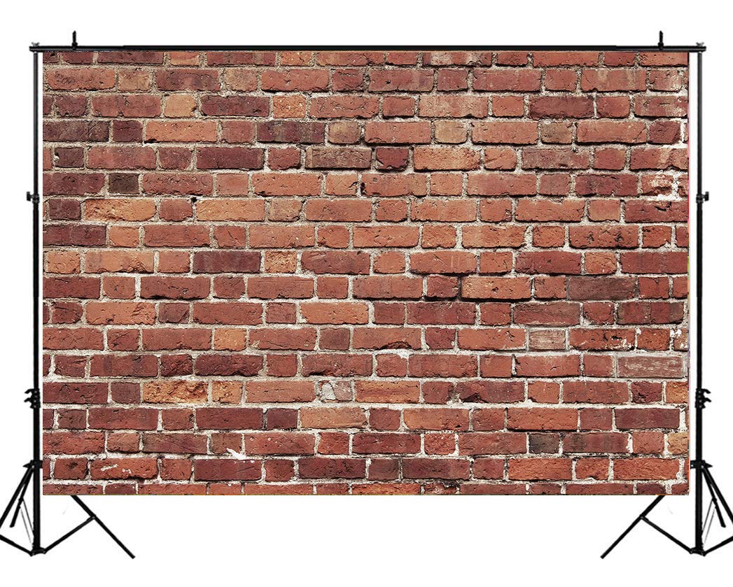 LTLYH 10x10ft Red Brick Wall Photography Backdrop Photo Background Kids Birthday Cake Smash Photoshoot Wedding Graduation Party Photographer Photo Booth Studio Props Banner 080