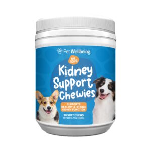 pet wellbeing kidney support chewies for dogs - vet-formulated - supports healthy kidney (renal) function in dogs - 90 soft chews