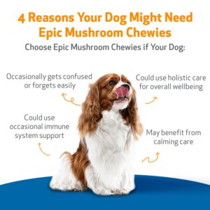 Pet Wellbeing Epic Mushroom Chewies for Dogs - Vet-Formulated - Immune Support, Cognitive Health, Adaptogenic Stress Support with Reishi, Chaga, Lion's Mane Medicinal Mushrooms - 90 Soft Chews