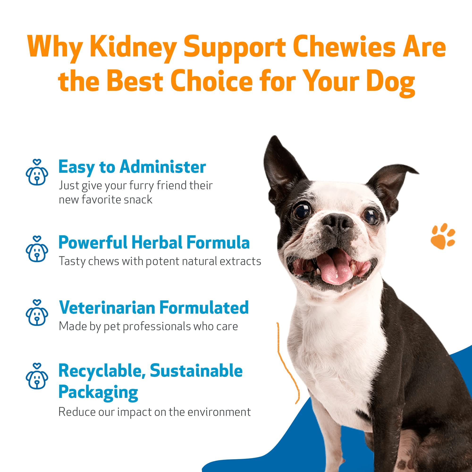 Pet Wellbeing Kidney Support Chewies for Dogs - Vet-Formulated - Supports Healthy Kidney (Renal) Function in Dogs - 90 Soft Chews