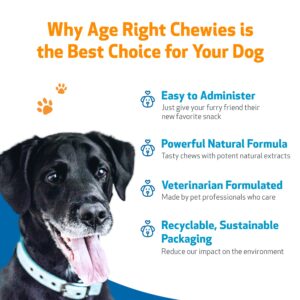 Pet Wellbeing Age Right Chewies for Dogs in Their Prime & Senior Years - Vet-Formulated - Daily Multifunctional Support for Joint Mobility, Immune, Heart Health, Shiny Coat, Energy - 90 Soft Chews