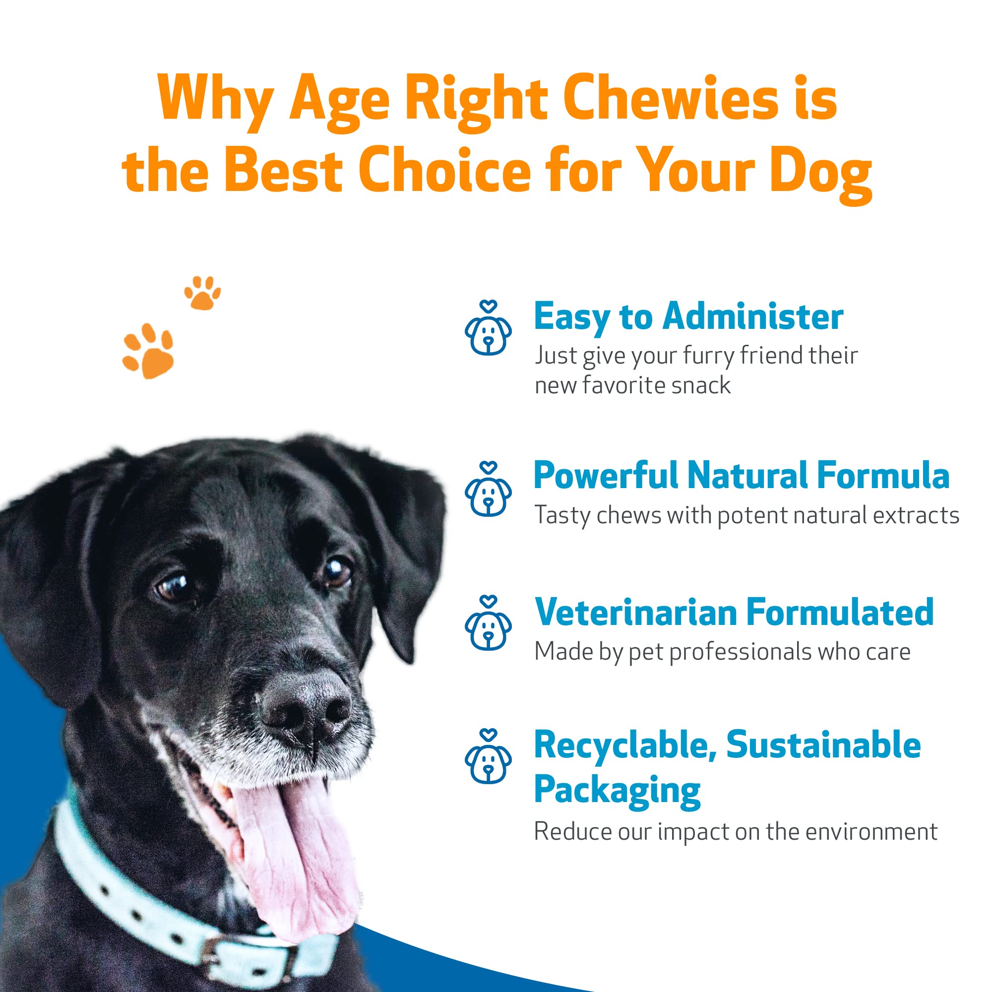 Pet Wellbeing Age Right Chewies for Dogs in Their Prime & Senior Years - Vet-Formulated - Daily Multifunctional Support for Joint Mobility, Immune, Heart Health, Shiny Coat, Energy - 90 Soft Chews