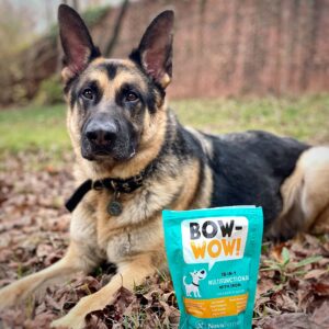 NovaFerrum Bow Wow | 18-in-1 Multifunctional with Iron Supplement for Dogs | Blood Support for Anemia | Glucosamine | Probiotics | Antioxidants | Chicken Flavor | 90 Chews