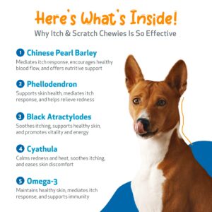 Pet Wellbeing Itch & Scratch Chewies or Dogs - Vet-Formulated - Itchy Skin & Paws, Hot Spots, Redness - 90 Soft Chews