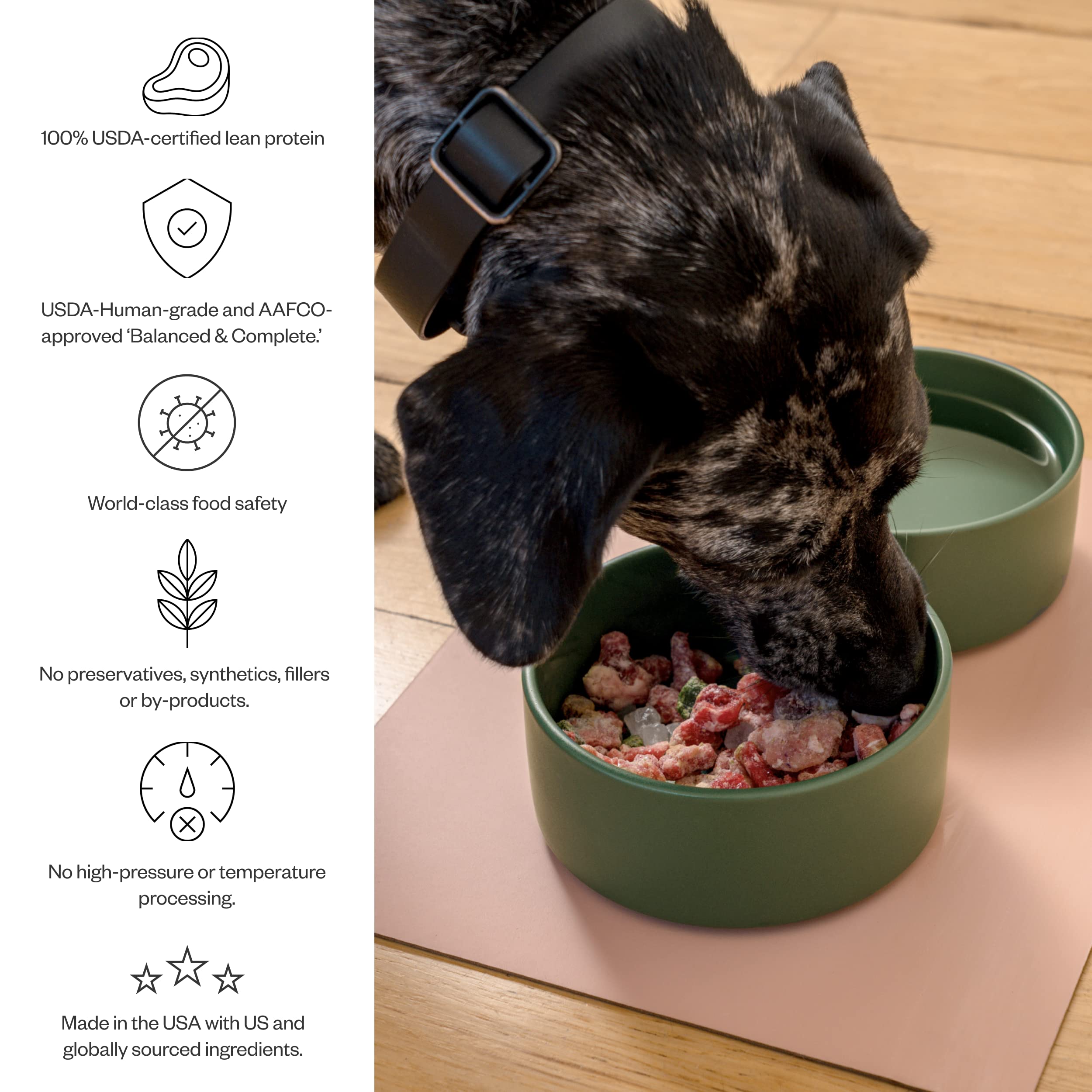 Maev Raw Dog Food, Better Than Freeze Dried Dog Food, Frozen Dog Food with Lean Chicken Protein, Vitamin-Rich Organ Meat in Every Serving, Skin and Coat Formulation, Adult Dogs, 10 Pounds