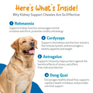 Pet Wellbeing Kidney Support Chewies for Dogs - Vet-Formulated - Supports Healthy Kidney (Renal) Function in Dogs - 90 Soft Chews