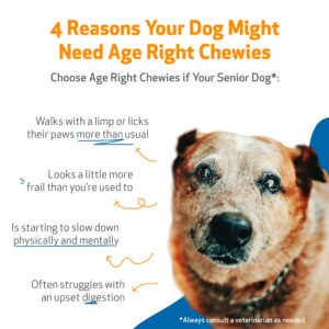 Pet Wellbeing Age Right Chewies for Dogs in Their Prime & Senior Years - Vet-Formulated - Daily Multifunctional Support for Joint Mobility, Immune, Heart Health, Shiny Coat, Energy - 90 Soft Chews