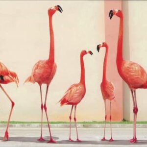 Avanti Press Flamingo Bathroom Break Funny Feminine Birthday Card for Woman / Her