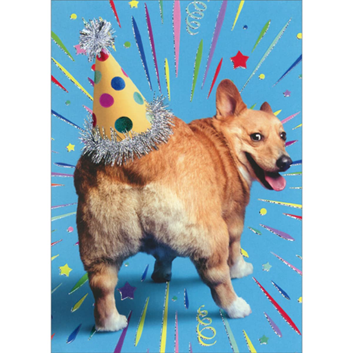 Avanti Press Corgi Butt Birthday Hat Funny/Humorous Dog Birthday Card