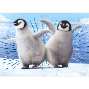 avanti press penguins dancing bump funny/humorous birthday card