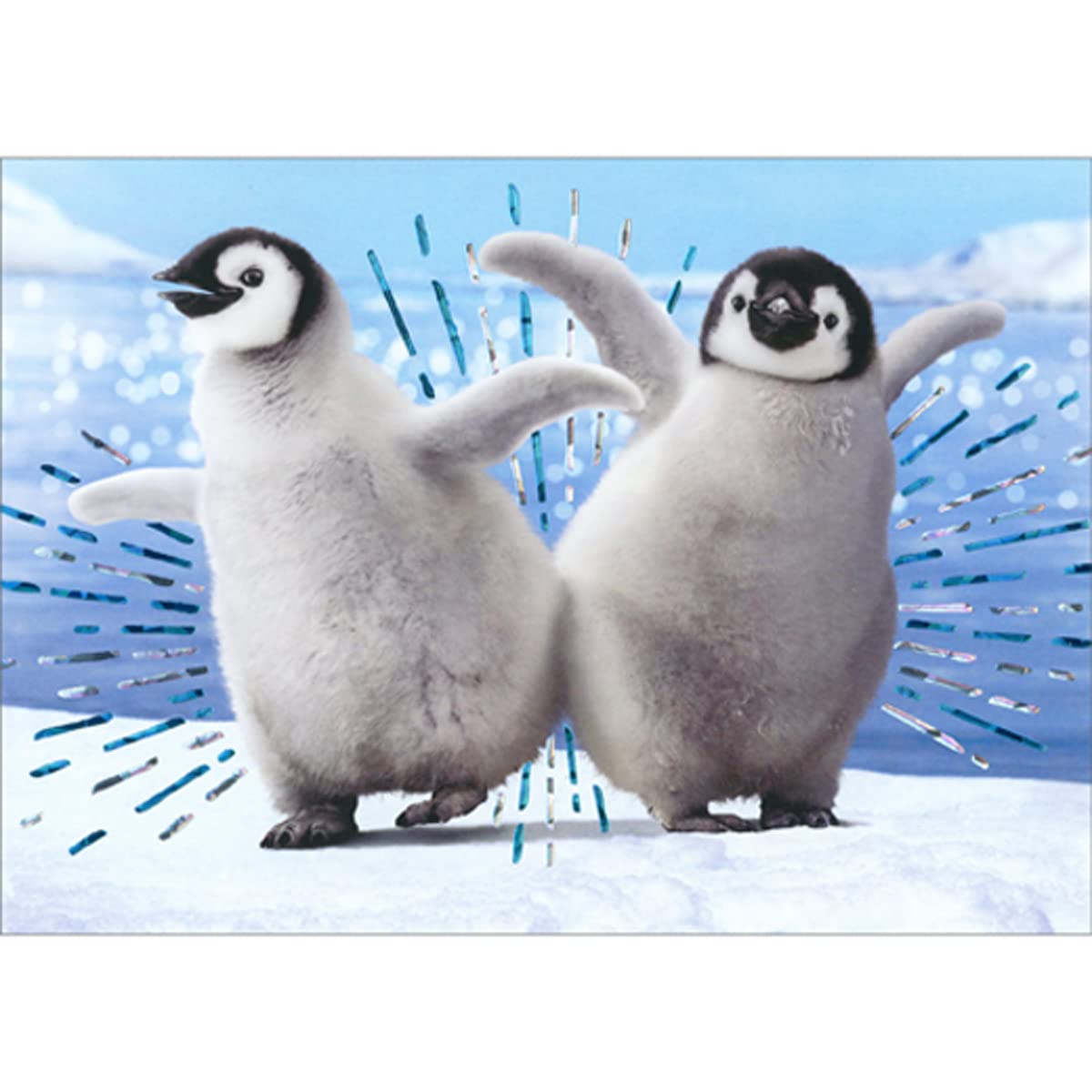 Avanti Press Penguins Dancing Bump Funny/Humorous Birthday Card