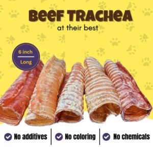 Woofley's Beef Trachea - (6 Inch 20 Pack) - Trachea Treats for Dogs - Natural Source of Glucosamine and Chondrotin for Joint Health - 100% Natural Beef Windpipe for Dogs