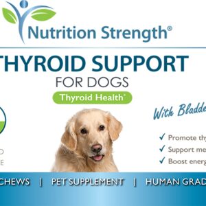 Nutrition Strength Thyroid Supplement for Dogs, Support for Hypothyroidism in Dogs with Organic Bladderwrack, Promotes Normal Function of Endocrine and Enzyme Systems, 90 Soft Chews