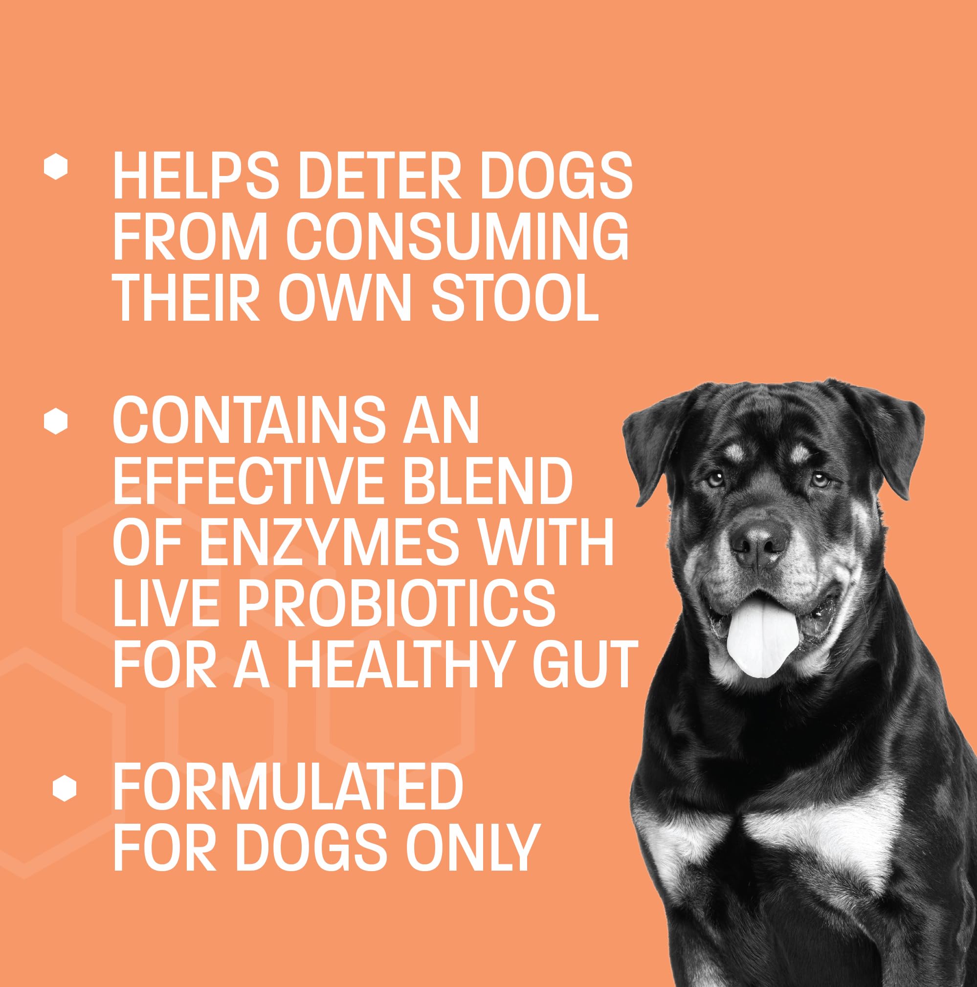 Pet Health Pros Coprophagia Stool Eating Deterrent for Dogs Eating Poop - Soft Chews to Stop Eating Poop for Dogs - No Poop Eating for Dogs w/Digestive Enzymes, Probiotics & Breath Freshener - 60 ct