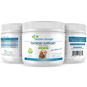 Nutrition Strength Thyroid Supplement for Dogs, Support for Hypothyroidism in Dogs with Organic Bladderwrack, Promotes Normal Function of Endocrine and Enzyme Systems, 90 Soft Chews