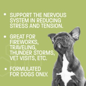 Pet Health Pros Melatonin Calming-Pro Dog Calming Chews for Dogs - Made with Chamomile, Ginger and Melatonin - Dog Calming Chews for Dogs Anxiety and Stress - Storms, Fireworks and Travel - 60 ct