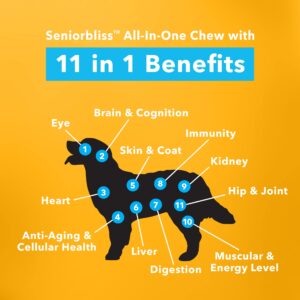 Vetnique Labs Seniorbliss All-in-One Multivitamin Chews for Senior Dogs (60ct) & Glandex Anal Gland Support Soft Chew Treats with Pumpkin for Dogs (60ct Pork) Bundle