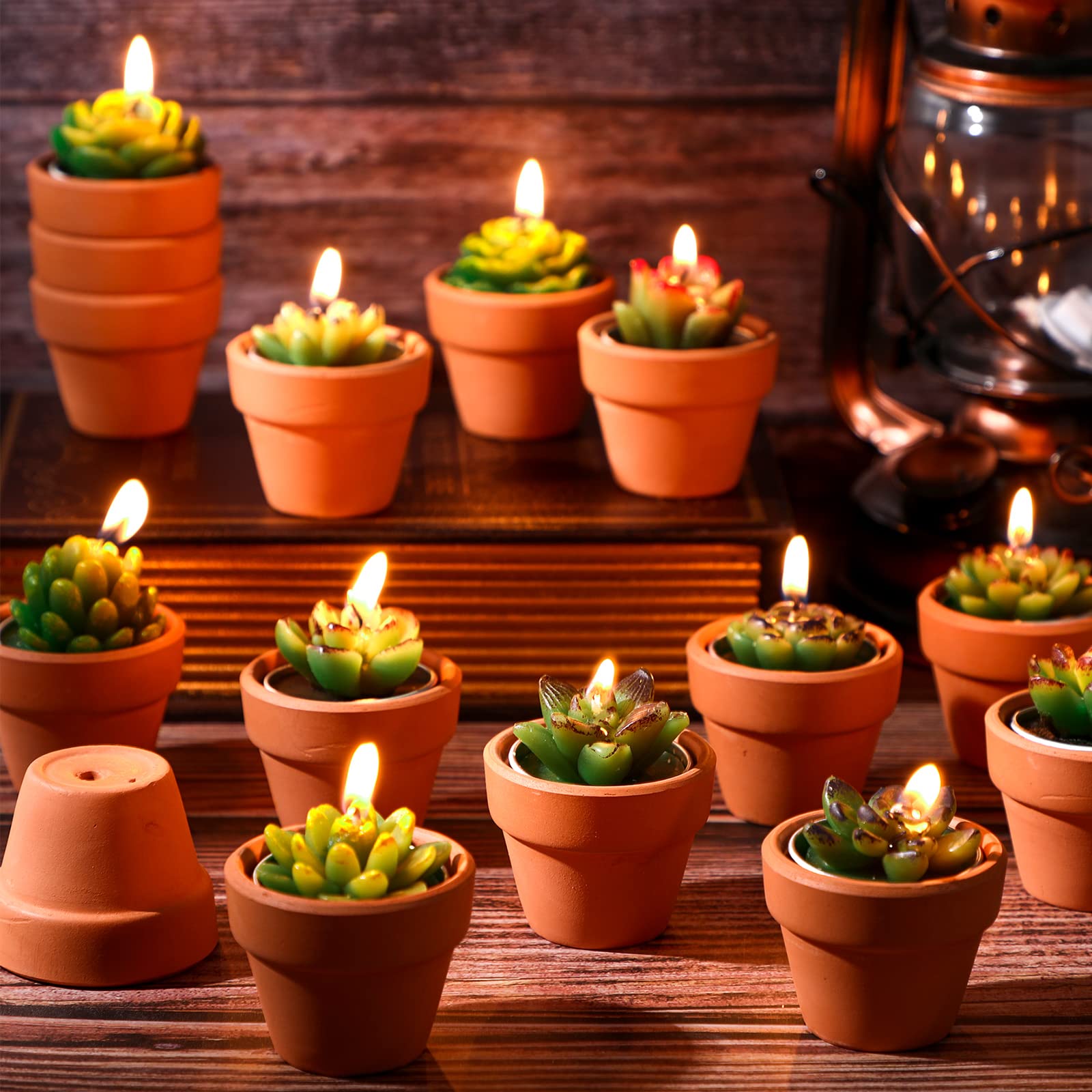 Shihanee 48 Pcs Succulent Cactus Tealight Candles Baby Shower Plant Candles Bridal Shower Cactus Candles Novelty Handmade Tealight Terrarium Plant Candles for Fiesta Birthday Wedding Party(Red)