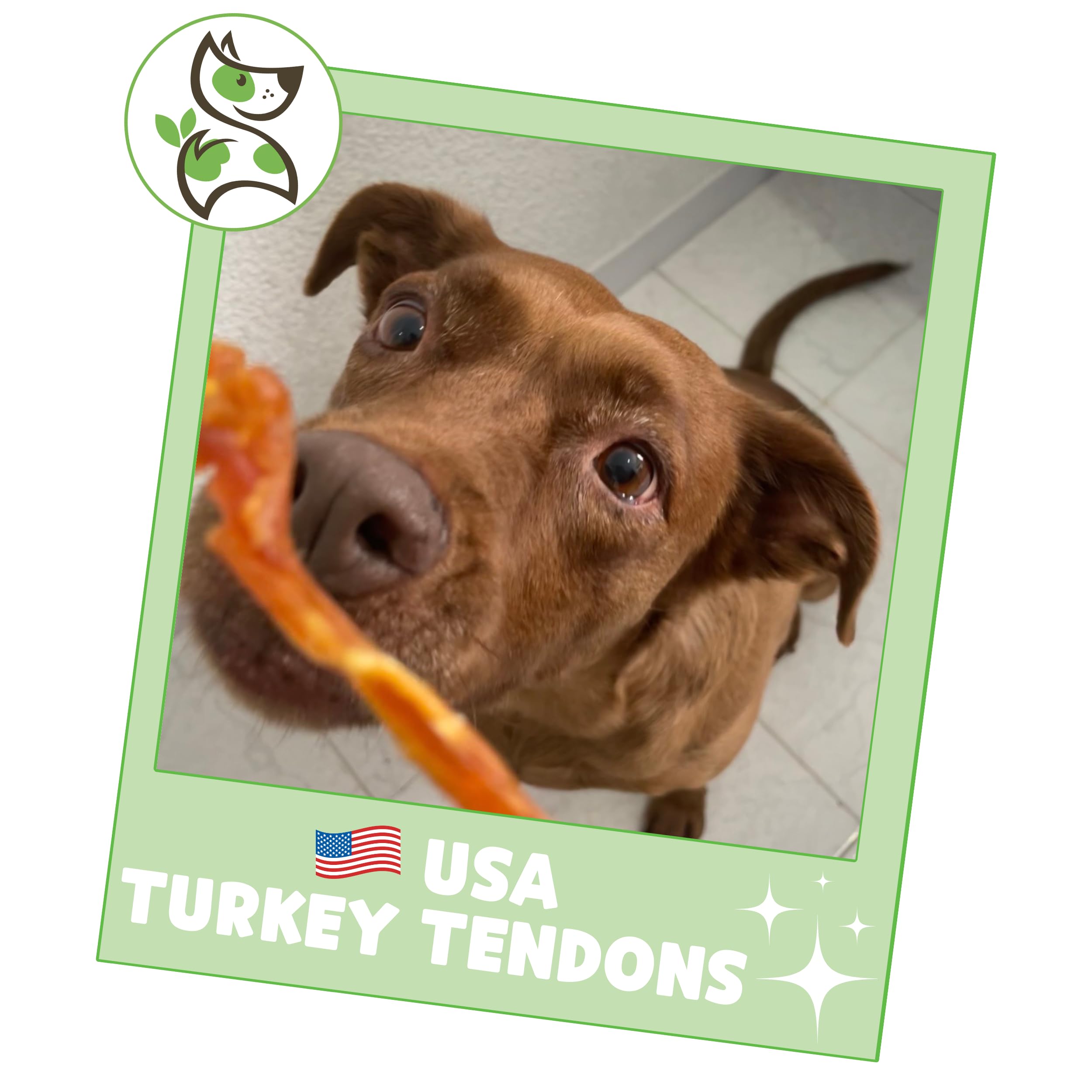 Nature Gnaws USA Turkey Tendons for Dogs (1Lb) - Delicious Grain Free Reward Snack for Small, Medium & Large Breeds - Premium Natural Dog Chew Treats