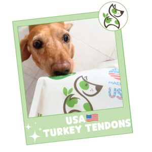 Nature Gnaws USA Turkey Tendons for Dogs (1Lb) - Delicious Grain Free Reward Snack for Small, Medium & Large Breeds - Premium Natural Dog Chew Treats