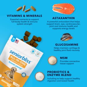 Vetnique Labs Seniorbliss All-in-One Multivitamin Chews for Senior Dogs (60ct) & Glandex Anal Gland Support Soft Chew Treats with Pumpkin for Dogs (60ct Pork) Bundle