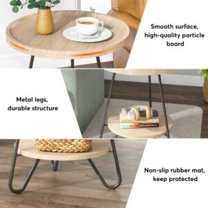 Tribesigns Round Side Table, 2-Tier End Table with Metal Legs, Modern Industrial Beside Table, Small Accent Table Snack Table for Living Room, Bedroom, Small Space, Easy Assembly, Brown