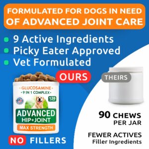 32oz Salmon Oil + 120Ct Glucosamine Treats Bundle - Skin & Coat Support + Old Dog Joint Pain Relief - EPA + DHA Fatty Acids + Chondroitin, Omega-3 - Advanced Immune, Heart & Joint Health - Made in USA