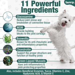 Dog Hip and Joint Supplement by Larry | Chondroitin, MSM, Hyaluronic Acid, & Glucosamine for Dogs | Dog Hip & Joint Care for All Breeds & Sizes | Dog Treats for Hip and Joint Health, (120 Soft Chews)