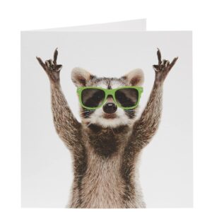 UK Greetings Birthday Card For Him/Male/Friend With Envelope - Raccoon Design