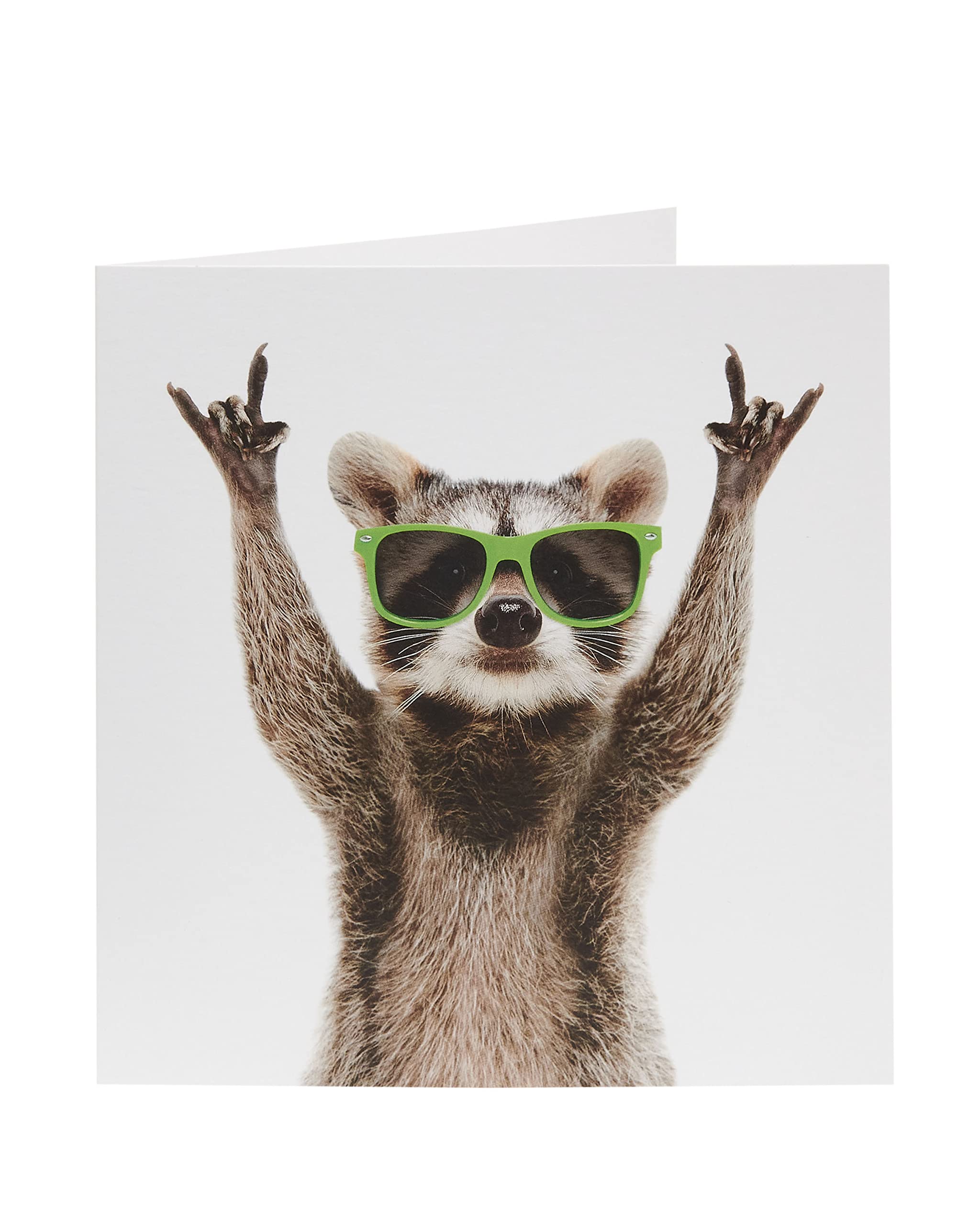 UK Greetings Birthday Card For Him/Male/Friend With Envelope - Raccoon Design