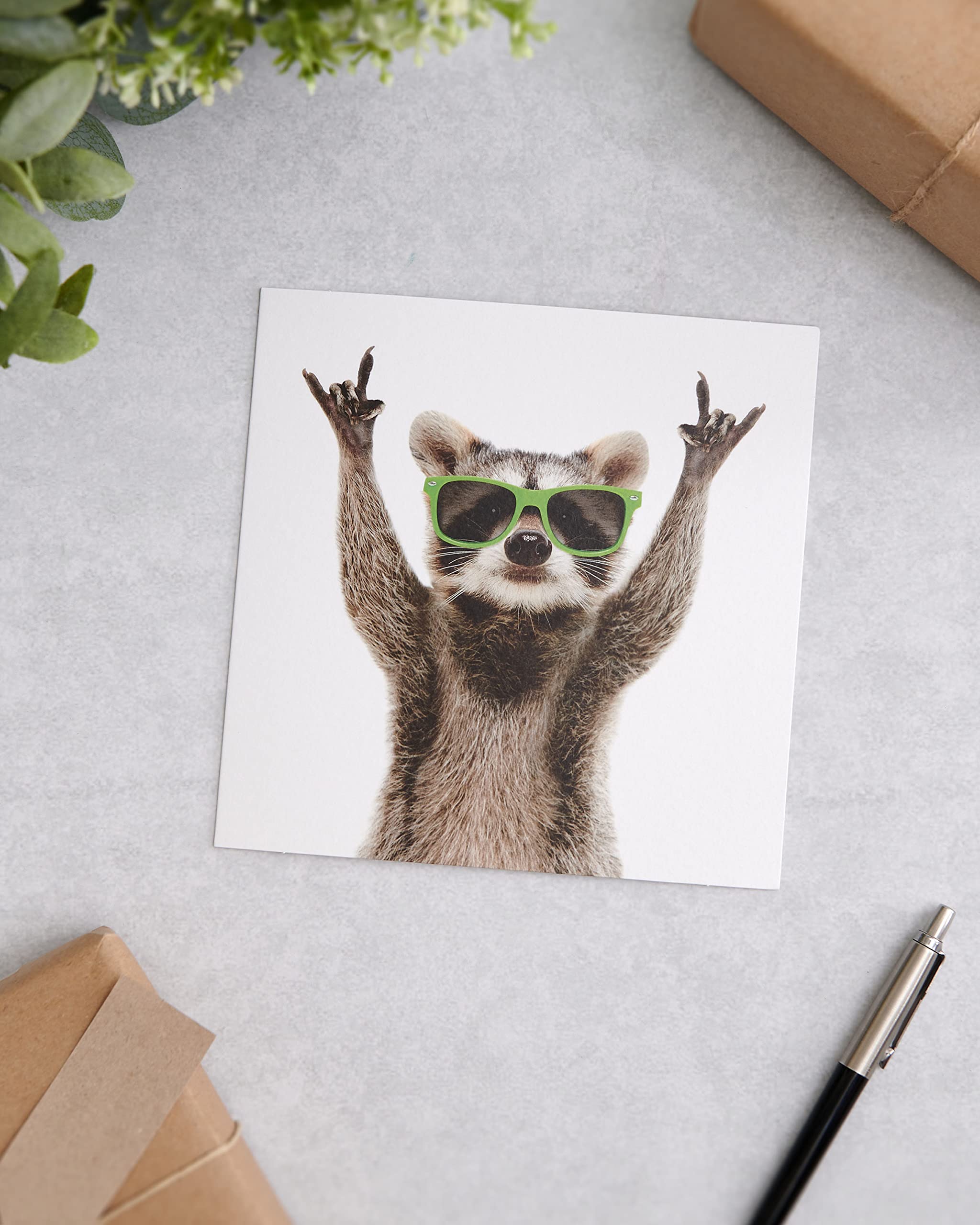 UK Greetings Birthday Card For Him/Male/Friend With Envelope - Raccoon Design