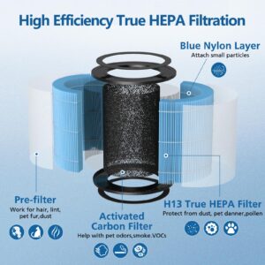 AP0601 Replacement Filters Compatible with AIRTOK Air Puri-fier, 4-in-1 H13 True HEPA Filters, High-Efficiency Activated Carbon Filter, AP0601-RF 2 Pack