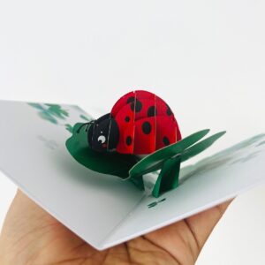 Paper Pop Up Cards 4.7x6.69 inch, ladybug with lucky plant, 3D Popup Greeting Cards with Note Cards and Envelopes, perfect for pop-up bursting birthday gift.