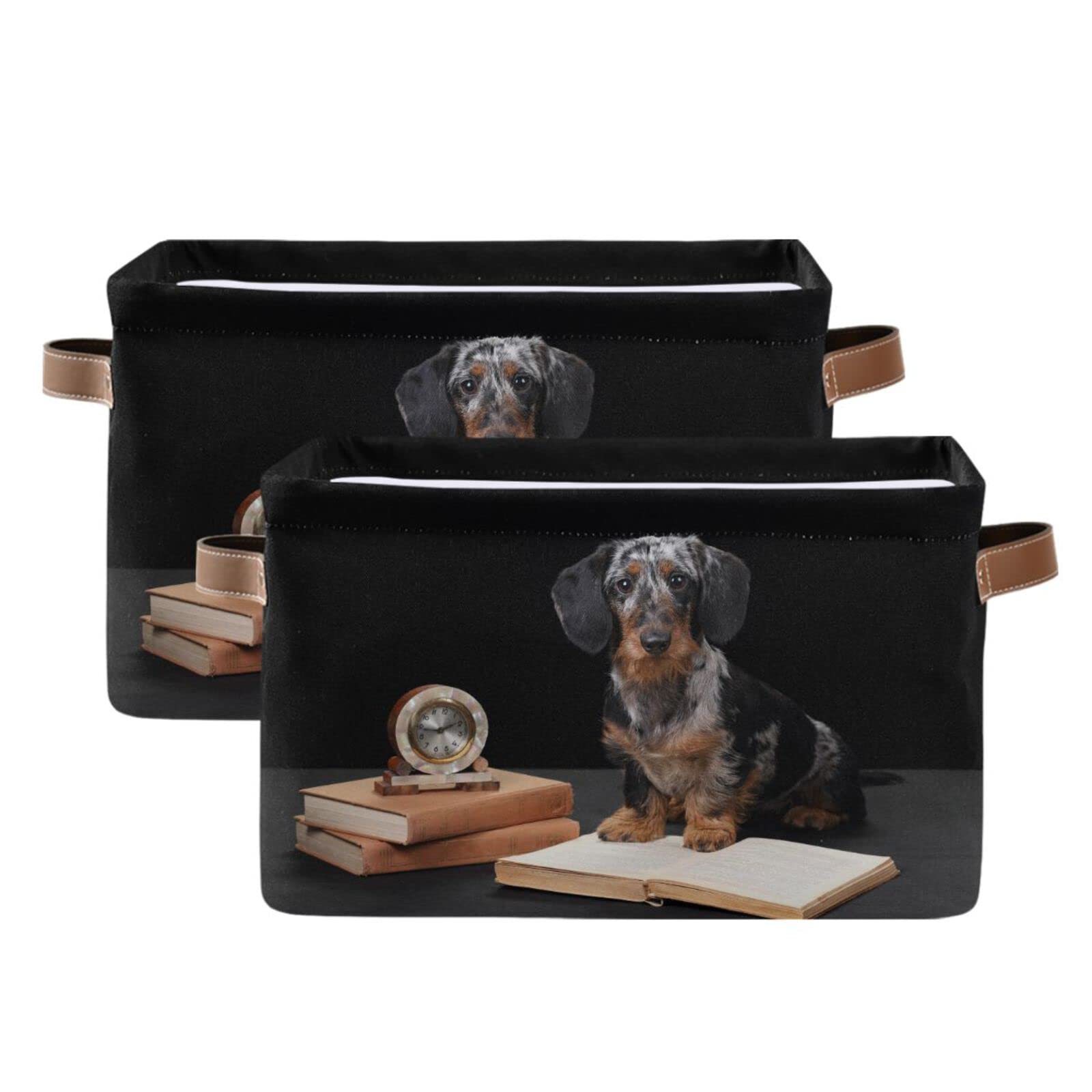 ALAZA Funny Dachshund Dog Black Foldable Storage Box Storage Basket Organizer Bins with Handles for Shelf Closet Living Room Bedroom Home Office 1 Pack