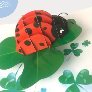 Paper Pop Up Cards 4.7x6.69 inch, ladybug with lucky plant, 3D Popup Greeting Cards with Note Cards and Envelopes, perfect for pop-up bursting birthday gift.