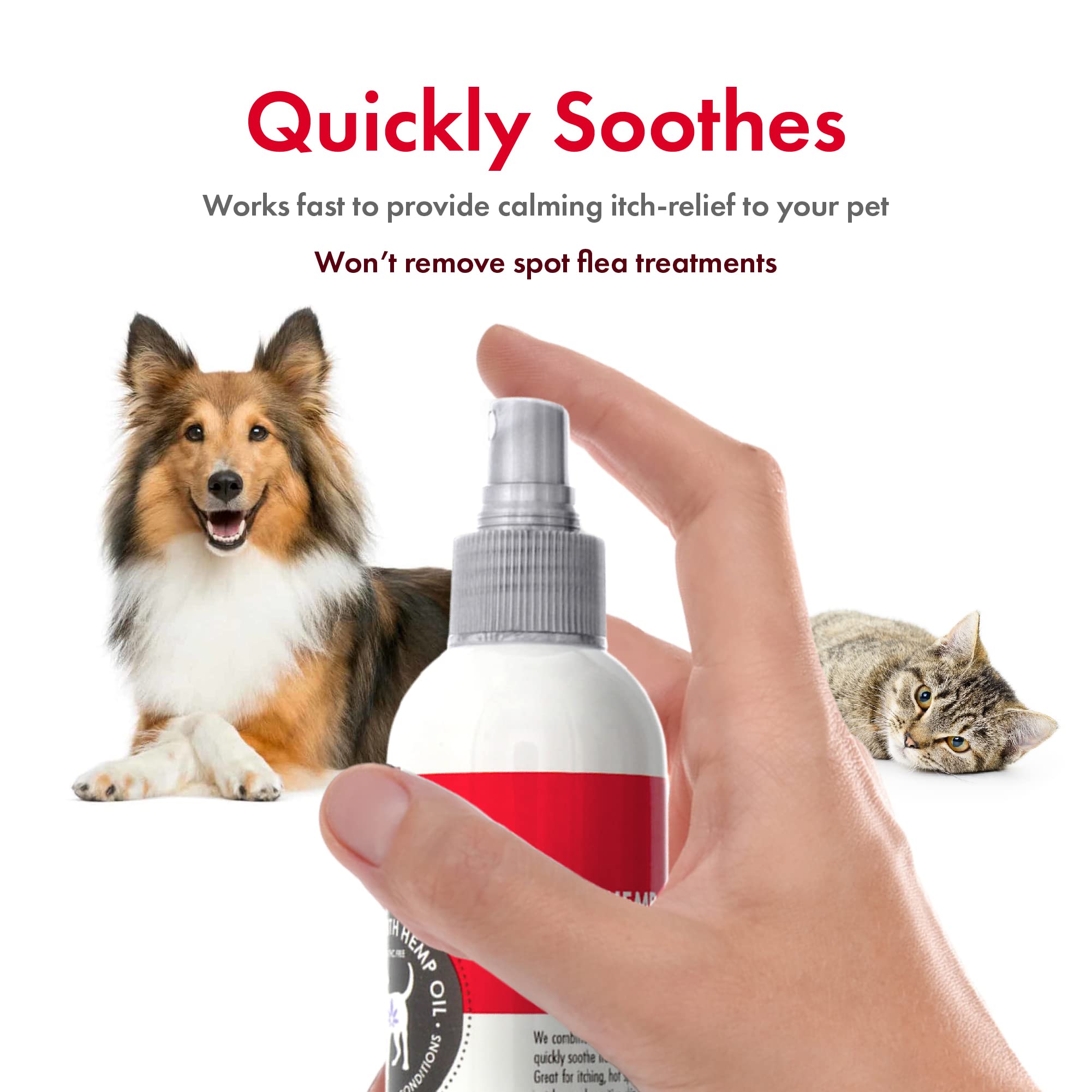 Petkin Hemp Anti Itch Spray for Dogs and Cats – with Hemp Oil & Calming Lavender Extract, 8 fl oz – Reduce Itching, Hot Spots and Skin Irritation – Soothes, Calms & Conditions