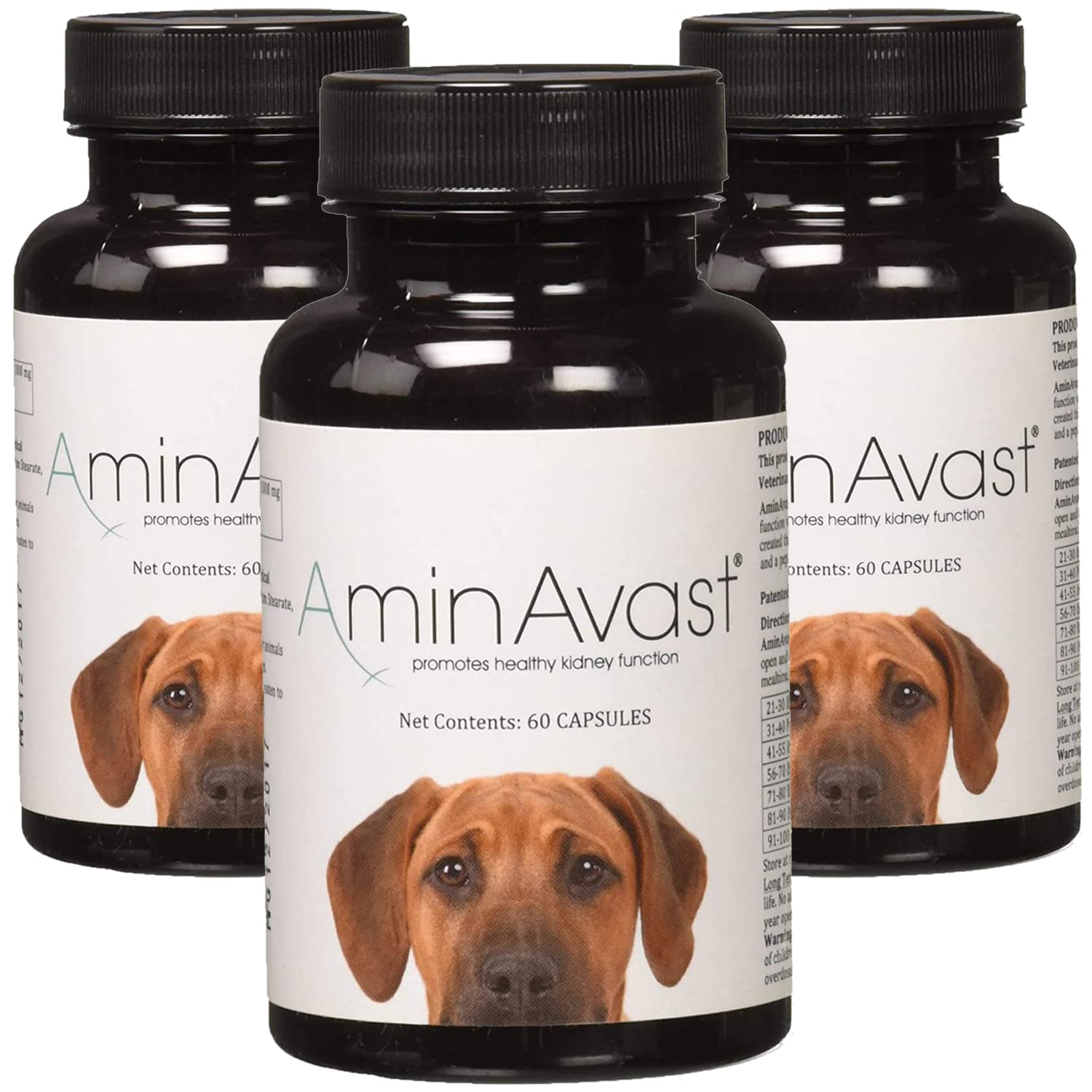 AminAvast Kidney Support Supplement for Dogs, 1000mg 3-Pack - Promotes Natural Kidney Function - Aids in Health and Vitality of Aging Kidneys - Easily Administered - 60 Sprinkle Capsules