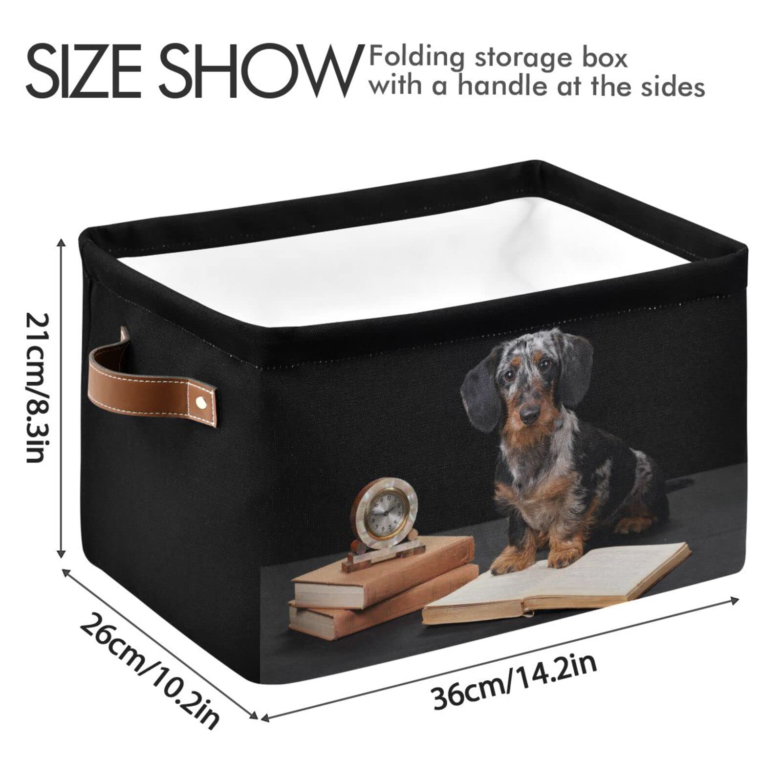 ALAZA Funny Dachshund Dog Black Foldable Storage Box Storage Basket Organizer Bins with Handles for Shelf Closet Living Room Bedroom Home Office 1 Pack