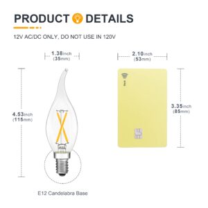 12V E12 LED Candelabra Light Bulbs - Soft Warm 2700K 2W (Only for 12 Volt DC/AC)- Small Candle Base - 25W Equivalent Low Voltage Flame Tip LED Bulb for RV, Backyard Shed - 4 Pack