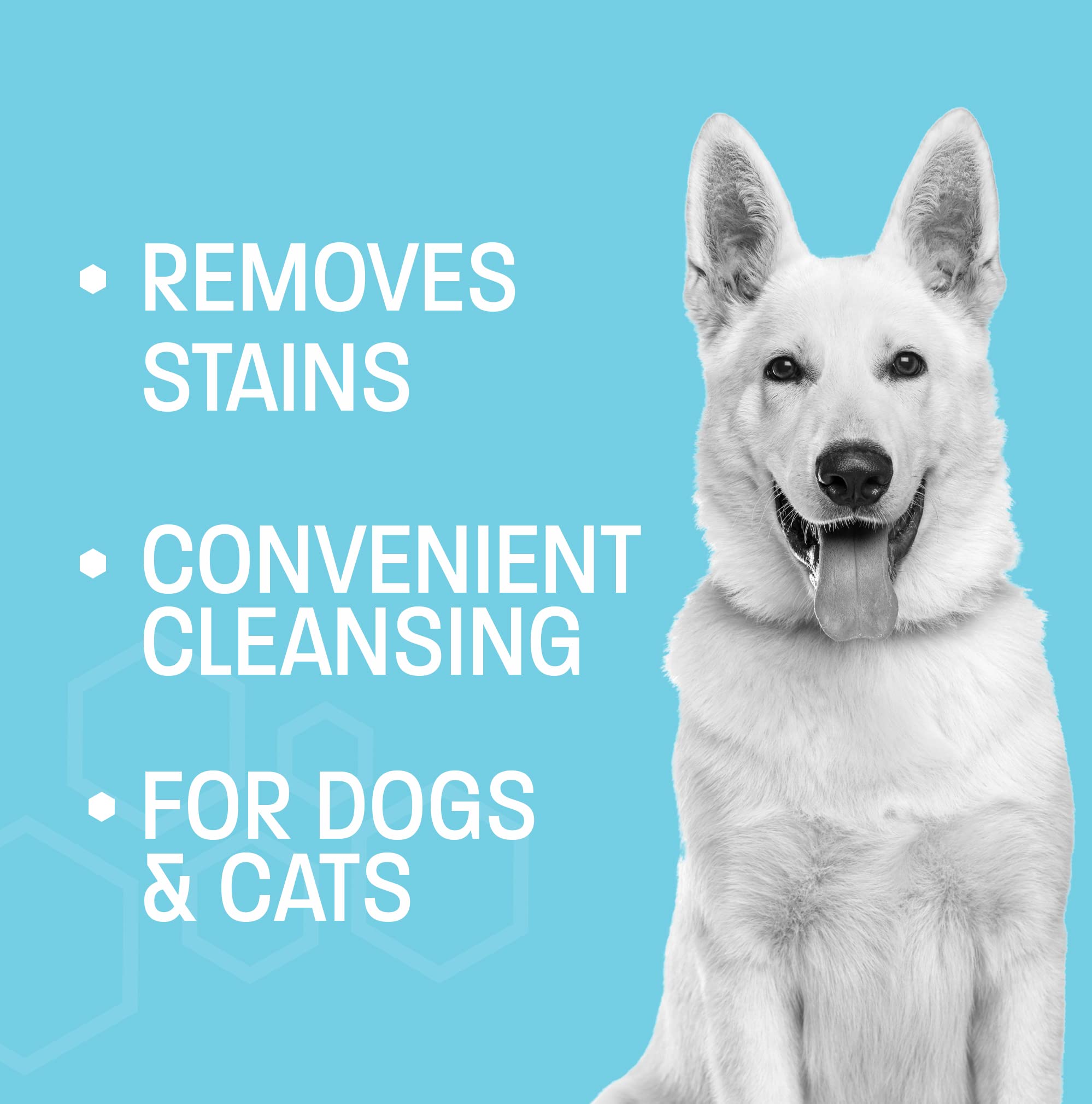 Pet Health Pros Dog Eye Wipes Tear Stain Remover for Dogs & Cats - Cat and Dog Tear Stain Remover Wipes - Cat Eye Wipes to Clean Tear Stains, Crust and Dirt - Fragrance Free Eye Wipes for Dogs - 60 ct