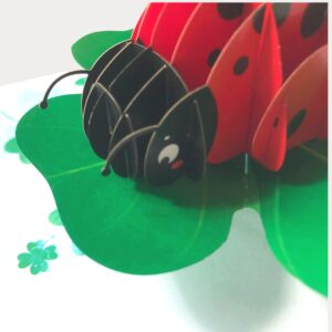 Paper Pop Up Cards 4.7x6.69 inch, ladybug with lucky plant, 3D Popup Greeting Cards with Note Cards and Envelopes, perfect for pop-up bursting birthday gift.