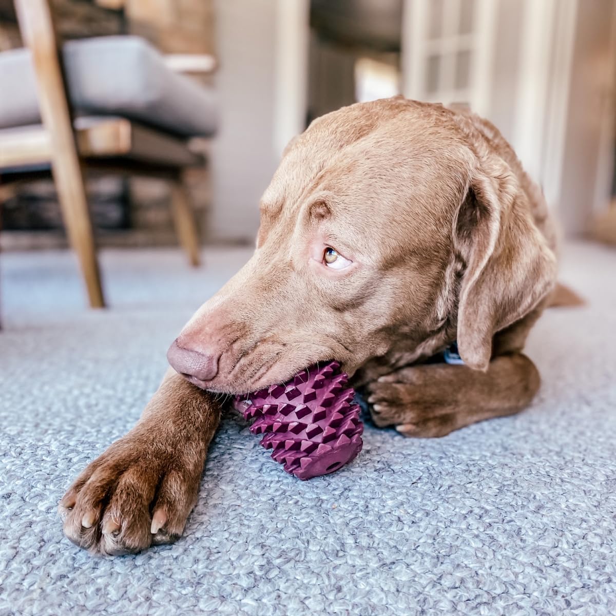 Tall Tails Natural Rubber Pinecone Reward Toy for Dogs Toy - Use with Spreadable Treats and Kibble