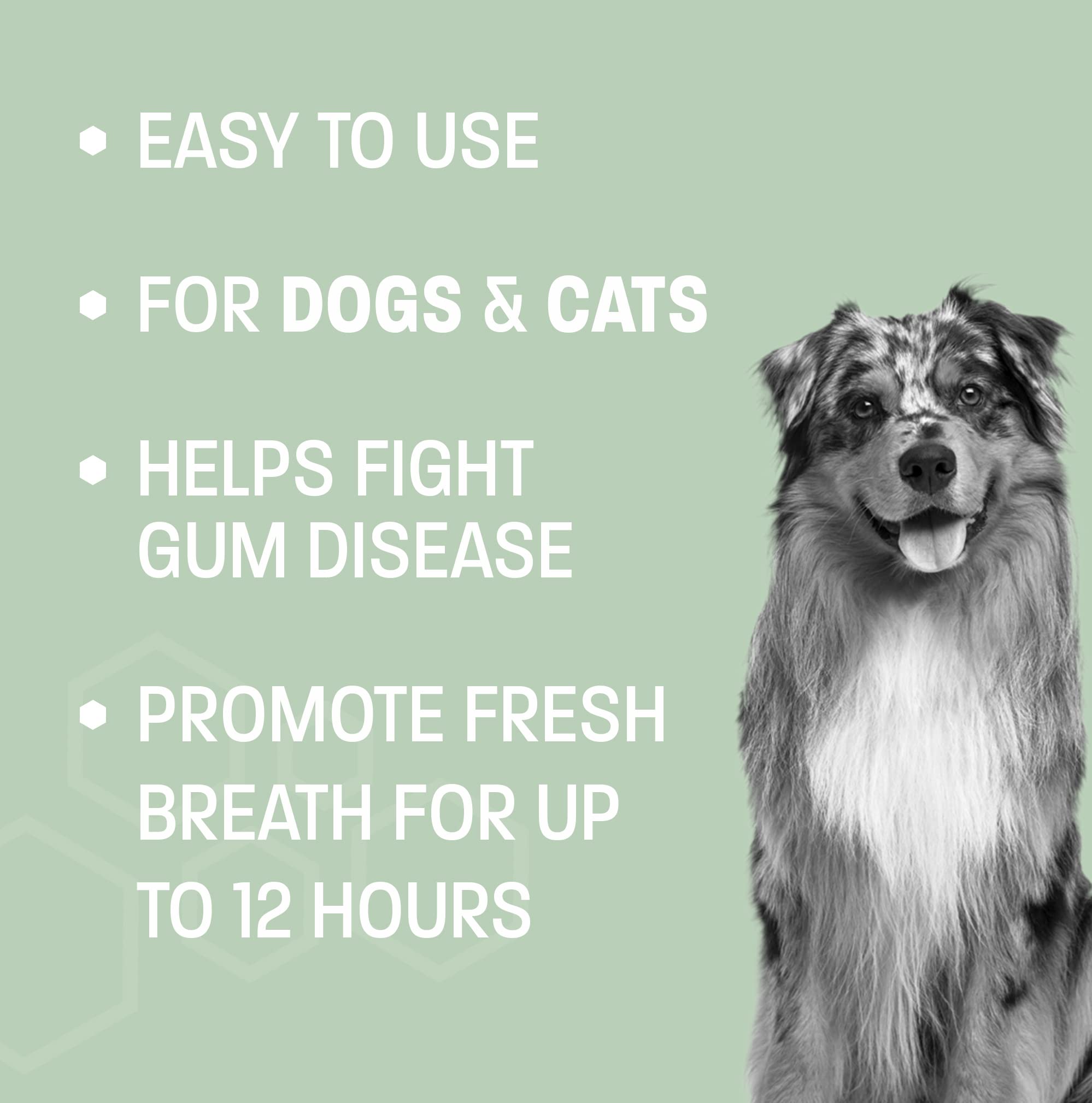 Pet Health Pros Dog Breath Water Additive - Cat & Dog Water Additive for Dental Care - Dog Dental Water Additive for Dogs Teeth and Bad Breath Treatment for Dogs and Cats - Odorless & Tasteless - 8 oz