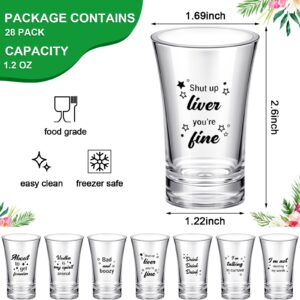 28 Pcs Funny Shot Glasses for Adult Acrylic Party Shot Glasses 1.2 Ounce Shot Glasses Party Favors for Guests Shot Glasses Bulk Wine Shot Glasses for Adult Birthday Party Drinking Gifts Supplies