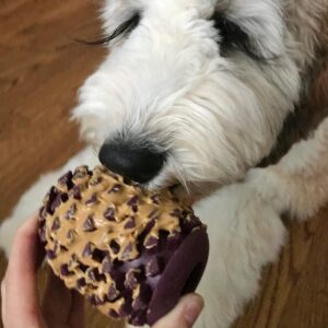 Tall Tails Natural Rubber Pinecone Reward Toy for Dogs Toy - Use with Spreadable Treats and Kibble