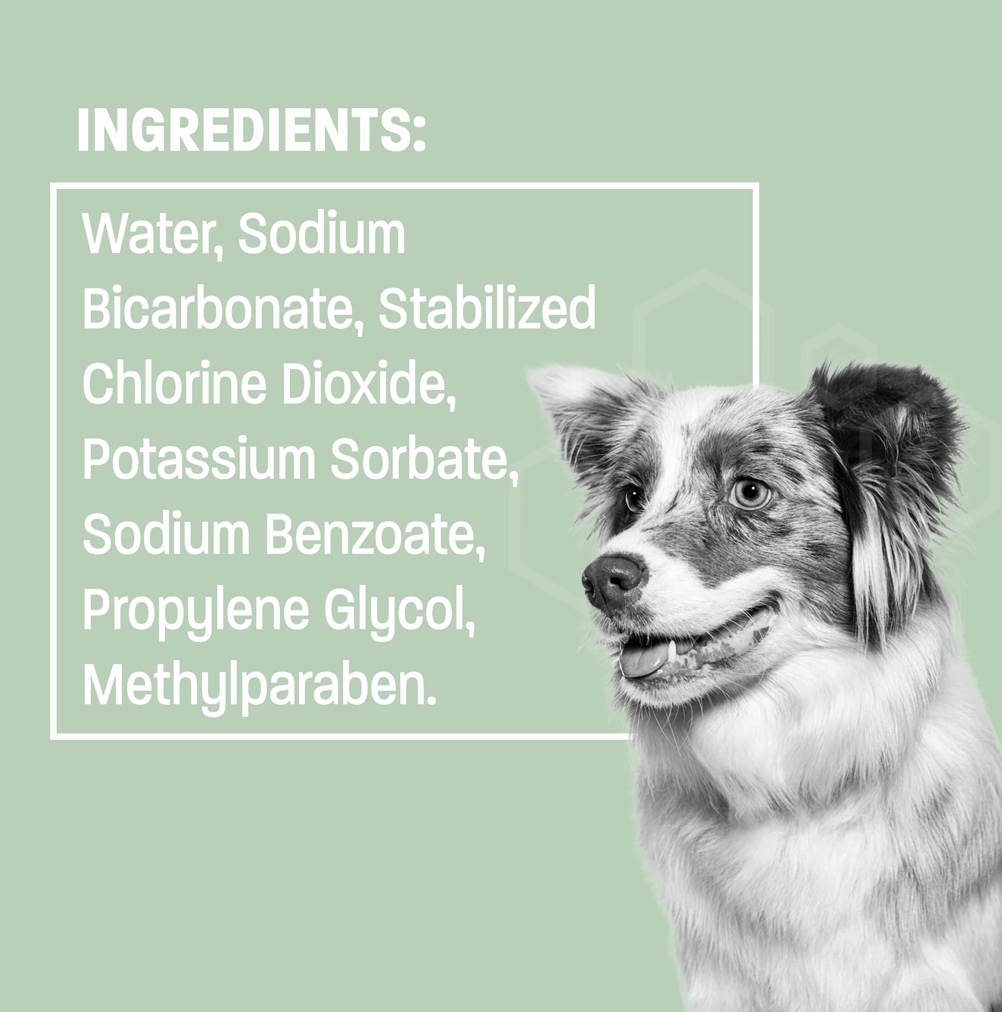 Pet Health Pros Dog Breath Water Additive - Cat & Dog Water Additive for Dental Care - Dog Dental Water Additive for Dogs Teeth and Bad Breath Treatment for Dogs and Cats - Odorless & Tasteless - 8 oz