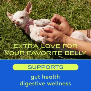 Native Pet Probiotic for Dogs & Omega Oil for Dogs| Vet Created Probiotic Powder for Dogs for Digestive Issues | 8 Oz. Omega Oil & 16 Oz. Probiotic