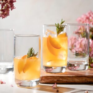 Set of 4 Highball Glasses 16 Oz Collins Cocktail Drinking Glass Cups, Bubble Base Glassware for Water, Juice, Cocktails, Beer Pint Glasses, Modern Basic Tumblers.