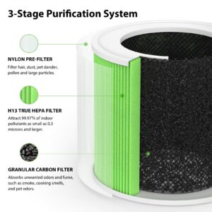 HY1800 Replacement filter Compatible with CHIVALZ/MORENTO/AYAFATO/IOIOW and Loytio Purifier, H13 True HEPA Filter with Extra 4-Pieces aroma pad